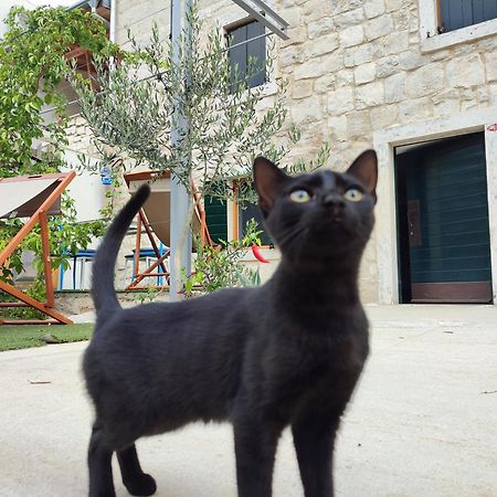 Apartmani Peljesac Sova Sreser Zewnętrze zdjęcie
