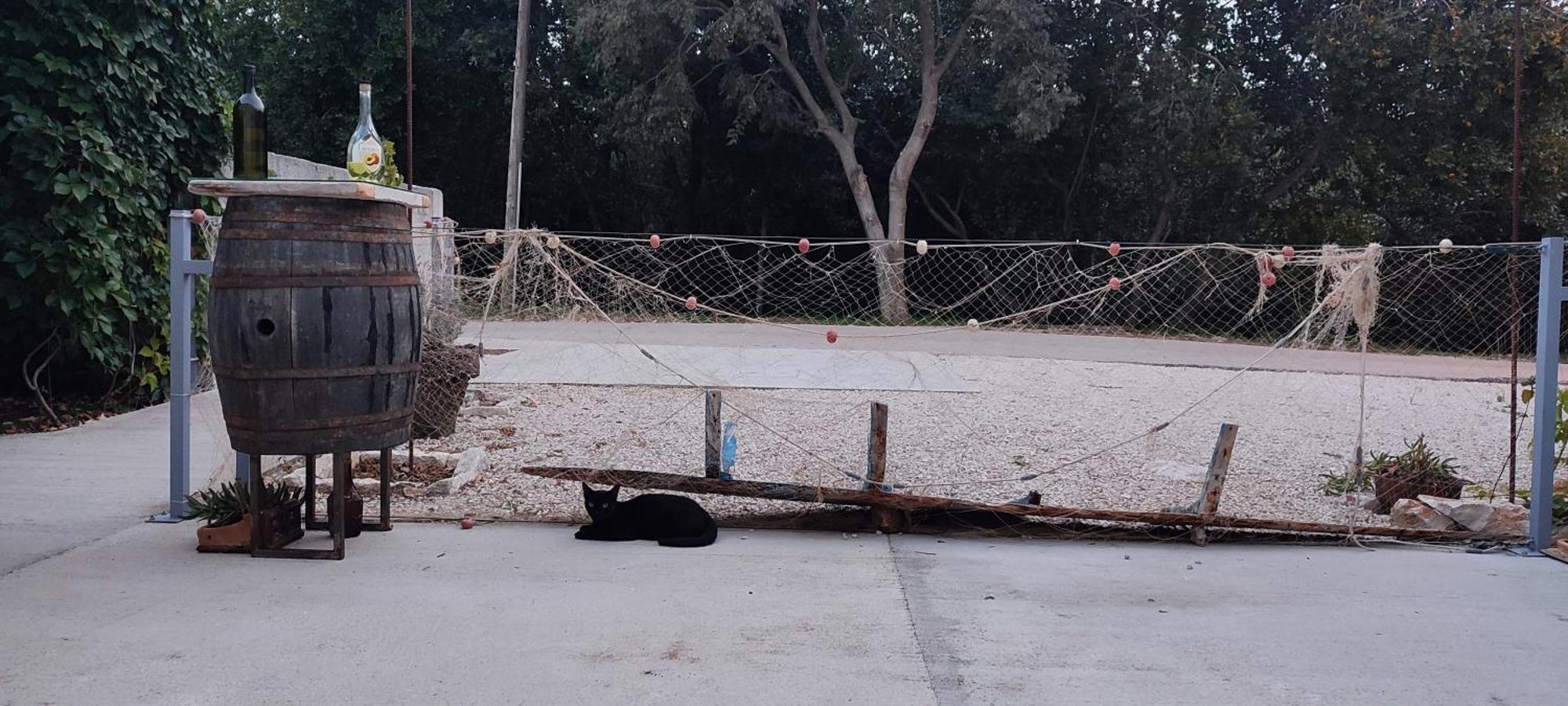 Apartmani Peljesac Sova Sreser Zewnętrze zdjęcie